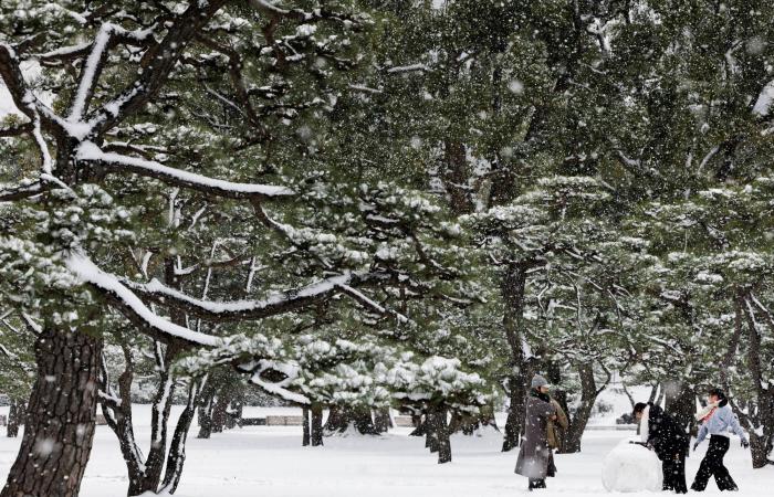 اليابان:
      توقعات
      بفوز
      ساحق
      لتاكايتشي
      في
      انتخابات
      شتوية
      نادرة