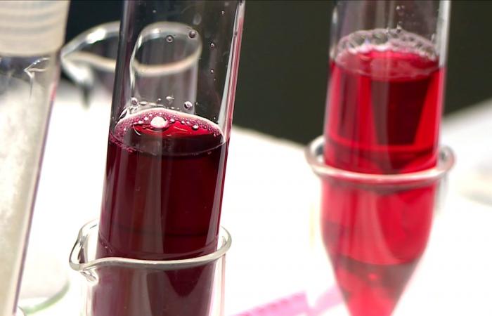 باحثون يطوّرون بديلًا طبيعيًا لملوّنات الطعام.. كيف يفيد صحتك؟