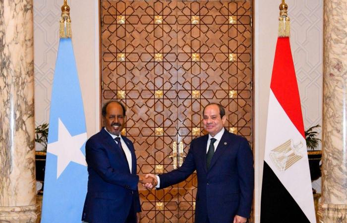 مصر
      تجدد
      رفضها
      المساس
      بوحدة
      الصومال