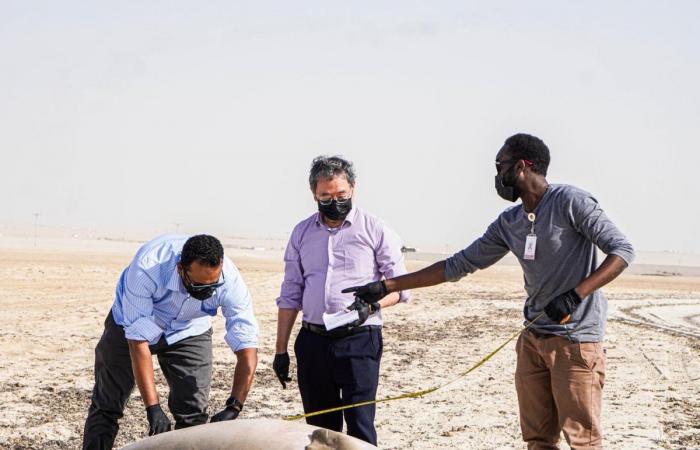 نفوق بقرة بحر بطول 2.9 متر.. والبيئة تفحص العينات