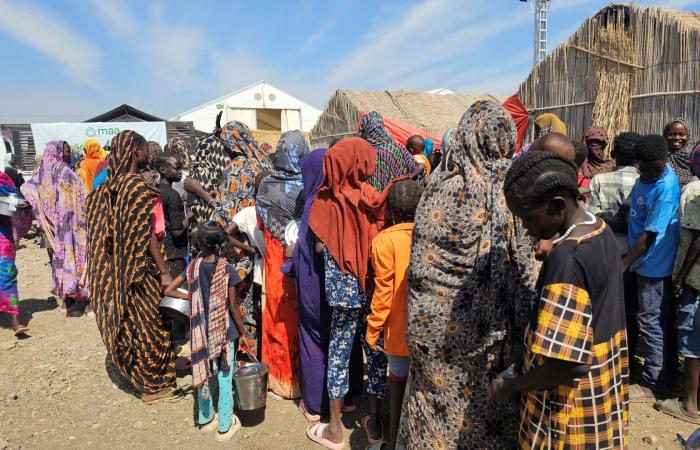 بيان مصري بعد تكرار الهجمات على قوافل الإغاثة والمنشآت الطبية بالسودان وأبو الغيط: ترقى لجرائم حرب