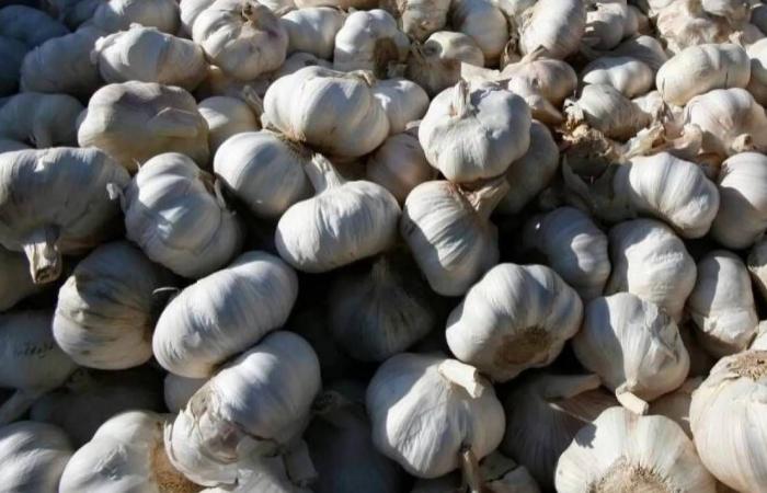 6
      نصائح
      لخفض
      ضغط
      الدم