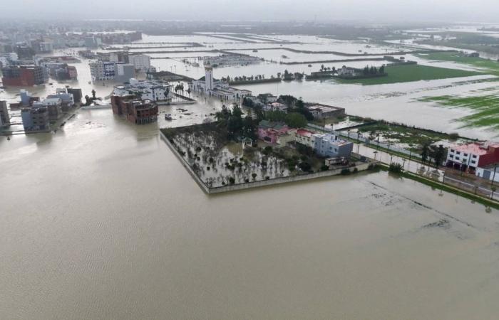 السعودية:
      إطلاق
      أكثر
      من
      10
      آلاف
      كائن
      فطري
      ضمن
      برامج
      إعادة
      التوطين