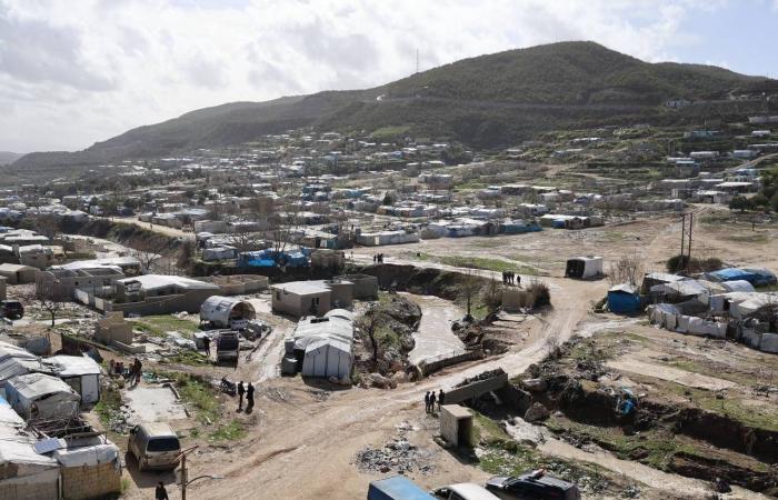 السعودية:
      إطلاق
      أكثر
      من
      10
      آلاف
      كائن
      فطري
      ضمن
      برامج
      إعادة
      التوطين