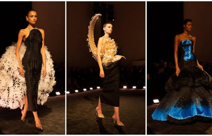 كيف
      تألقت
      الهوية
      اللبنانية
      في
      مهرجان
      «صاندانس»
      السينمائي؟