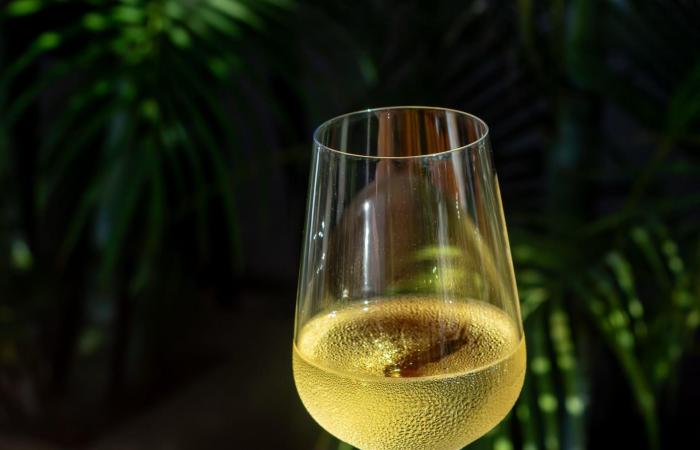 كيف أعادت أنغولا بناء ثقافة الطعام بعد عقود من الحرب؟