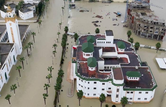 تطابق
      الحمض
      النووي
      لتوأمين
      يعقّد
      تحديد
      مرتكب
      جريمة
      قتل
      بفرنسا