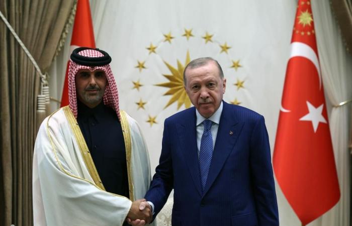 رئيس الجمهورية التركية يتسلم أوراق اعتماد سفير قطر