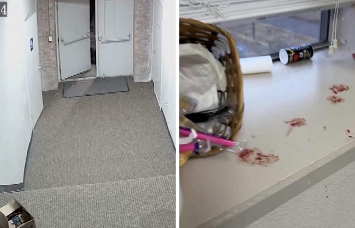 دماء بلا ضحية ومقتحم مجهول.. حادثة تحيّر الشرطة بأمريكا وكاميرا تحل اللغز