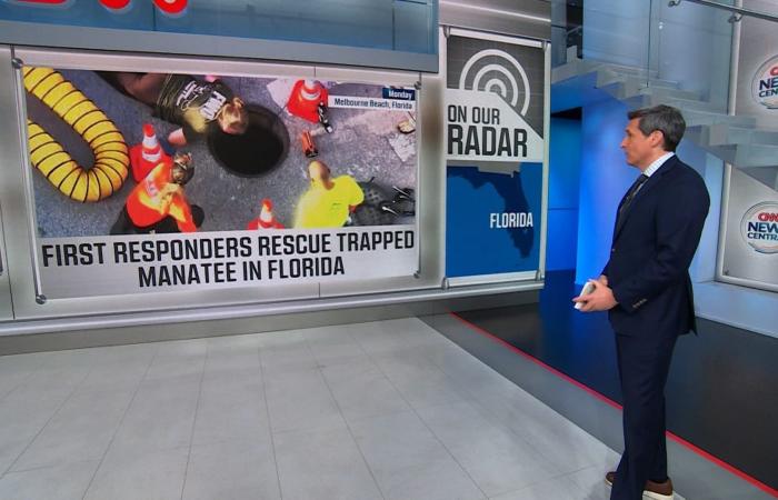 شاهد.. إنقاذ خروف بحر عالق داخل بالوعة برافعة في فلوريدا