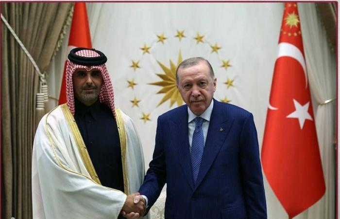 أردوغان يتسلم أوراق اعتماد سفيرنا