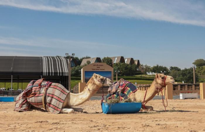  انطلاق فعاليات مهرجان حلال قطر 2026 بكتارا