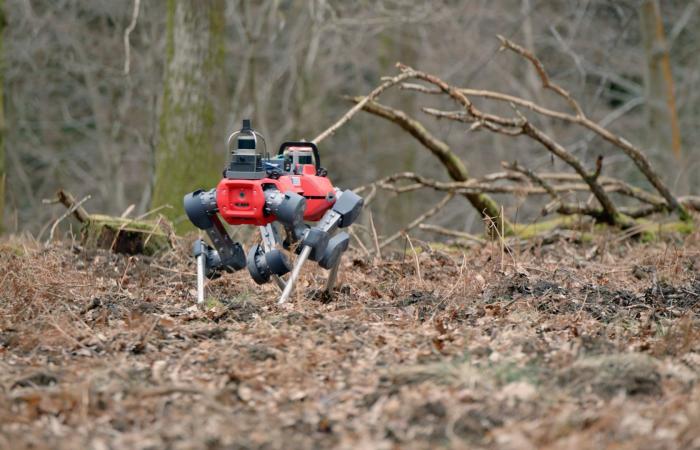 كلاب روبوتية تُربك الكلاب الحقيقية في الغابات.. ما الذي تفعله هناك؟