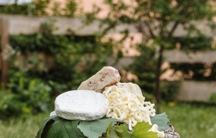 لدعم
      المناعة
      والغدة
      الدرقية
      والخلايا...
      19
      طعاماً
      غنياً
      بالمعدن
      السحري
      السيلينيوم