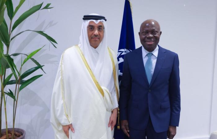  وزير العمل يجتمع مع المدير العام لمنظمة العمل الدولية