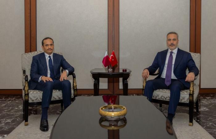 رئيس مجلس الوزراء وزير الخارجية يجتمع مع وزير الخارجية التركي
