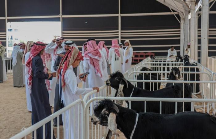  انطلاق فعاليات مهرجان حلال قطر 2026 بكتارا