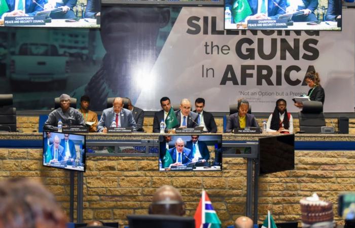 مصر.. وزير الخارجية: رسمنا "خطوطا حمراء" بشأن السودان وندين مساعي الميليشيات لتقسيمه