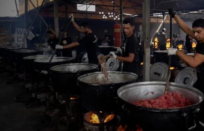 منظمة "وورلد سنترال كيتشن" تحقق إنجازًا هامًا في غزة حول تقديم مليون وجبة ساخنة يوميًا