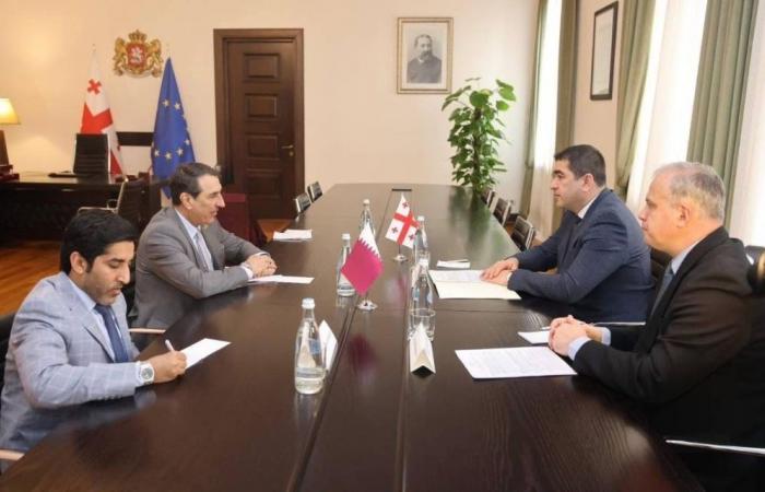 رئيس برلمان جورجيا يجتمع مع سفيرنا