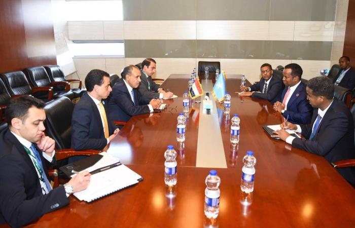 مصر
      تحشد
      أفريقياً
      لدعم
      وحدة
      السودان
      والصومال