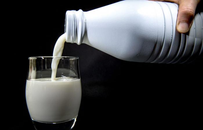 ماذا يحصل عند إفراط الرجال بشرب الحليب؟