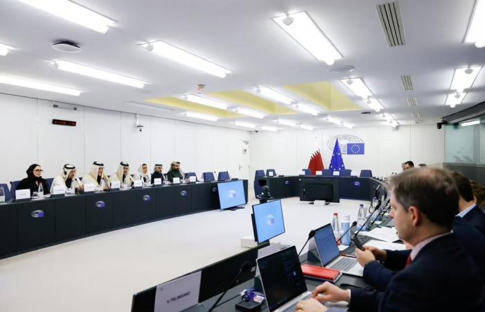 مجلس الشورى يؤكد حرص قطر على أن تكون شريكاً فاعلاً مع الجانب الأوروبي في القضايا الإقليمية والدولية