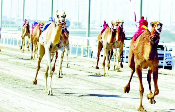 مسك ختام مهرجان سمو الأمير الوالد على السيف الغالي