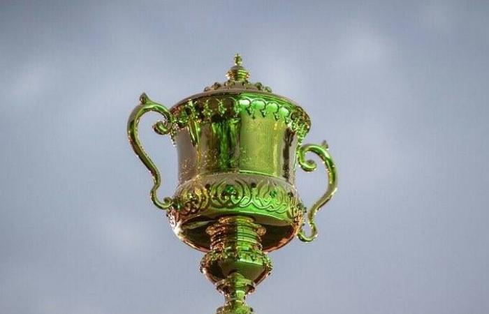 «كأس
      السعودية»:
      36.9
      مليون
      دولار
      تشعل
      صراع
      نخبة
      الجياد
      العالمية