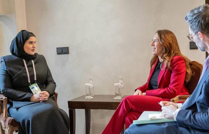 وزير الدولة للتعاون الدولي تجتمع مع مسؤولة أممية