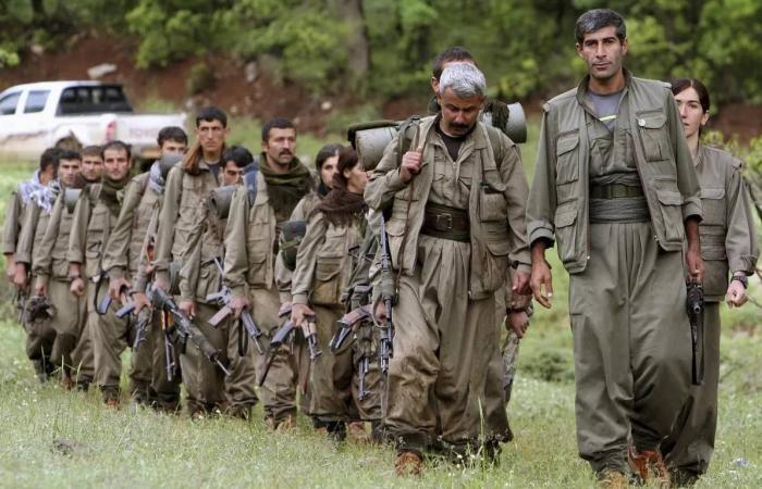 إيران
      في
      مرمى
      «دبلوماسية
      الأساطيل»