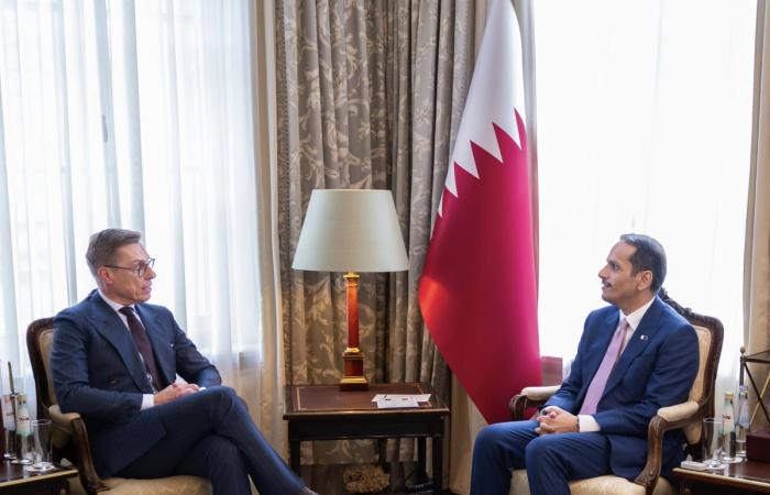 رئيس فنلندا يجتمع مع رئيس مجلس الوزراء وزير الخارجية