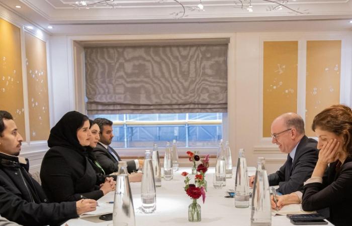 وزير الدولة للتعاون الدولي تجتمع مع وكيل وزارة التعاون الاقتصادي والتنمية الألماني