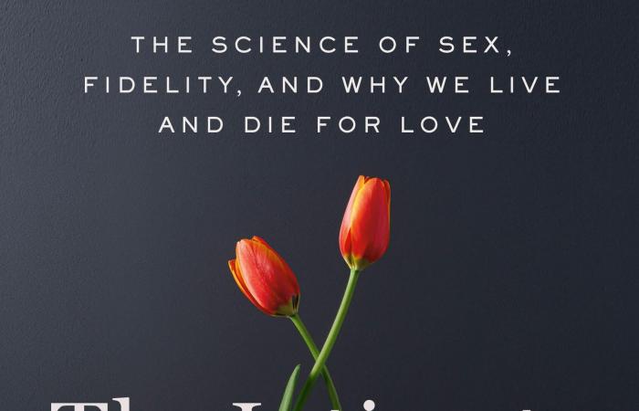 الحميميّة: ما تعريفها ولماذا نتوق إليها؟