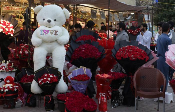 «مهرجان
      عيد
      الحب»
      يكسر
      هدوء
      نويبع
      المصرية