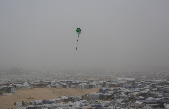 الأمن
      يعقّد
      مهام
      «لجنة
      التكنوقراط»
      في
      إدارة
      قطاع
      غزة