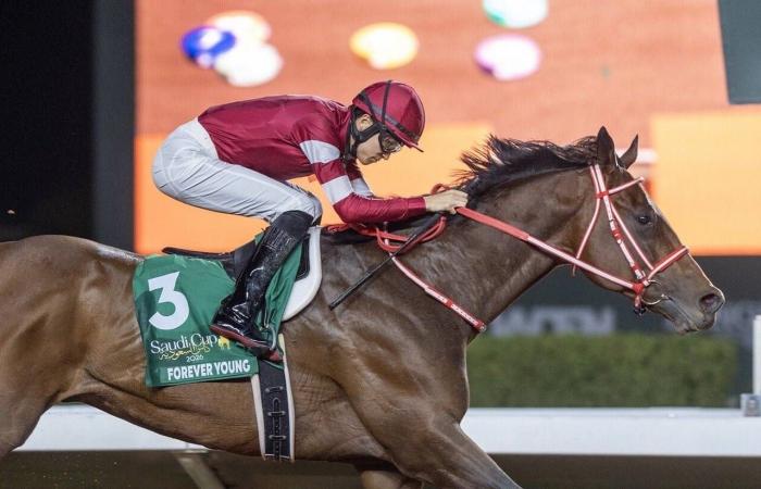 مدرب
      الخلود:
      أهدرنا
      الفرص...
      فعوقبنا