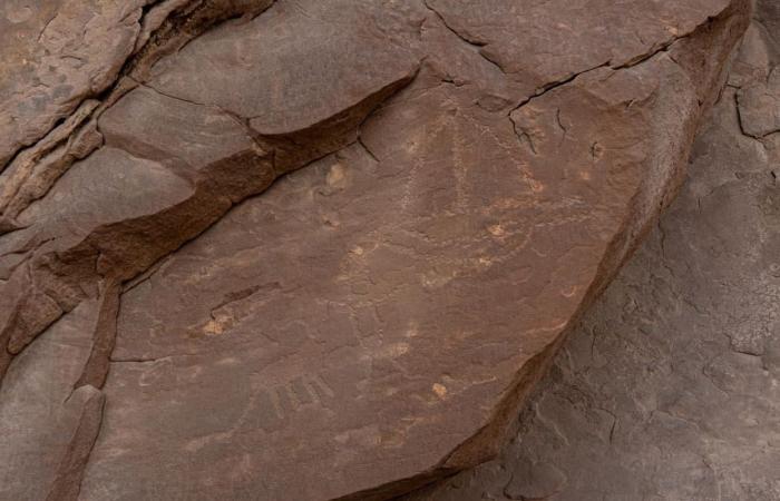 مصر.. اكتشاف موقع أثري يعود إلى 10 آلاف عام قبل الميلاد في جنوب سيناء