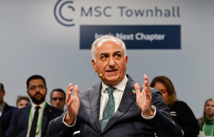 نجل آخر شاه لإيران يدعو لـ"تدخل إنساني" وسط دراسة ترامب لضربات عسكرية