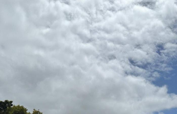 عشرة
      قتلى
      على
      الأقل
      جراء
      سلسلة
      «هجمات
      إرهابية»
      في
      بوركينا
      فاسو