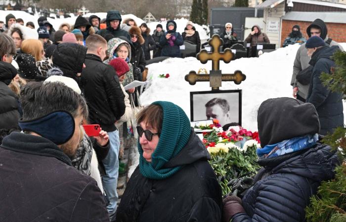 مسيرات
      في
      كرنفال
      ألماني
      تهزأ
      من
      بوتين
      وترمب