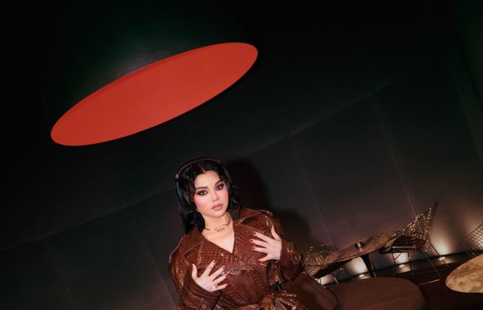 جلود فاخرة وألوان جريئة.. هيفاء وهبي تتألق في كليبها الجديد