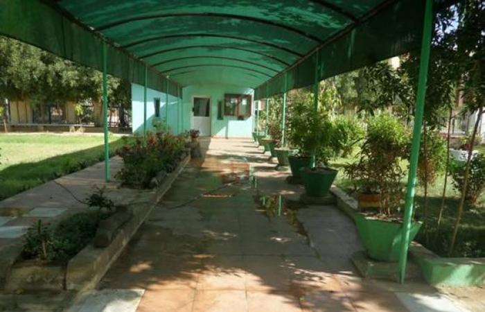 سرقة
      آلاف
      الحيوانات
      والعينات
      النادرة
      من
      متحف
      السودان
      الطبيعي