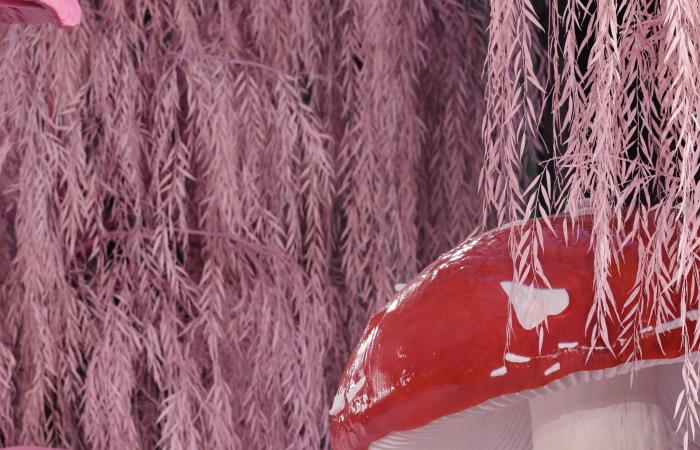 تجارب المصورين العرب في تغطية عروض الأزياء الكبرى بين الإبداع والتحديات