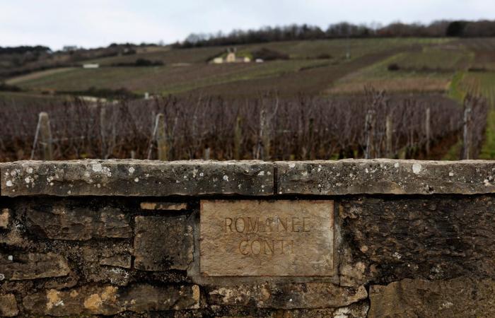 نجت من حربين عالميتين والكساد العظيم..هكذا فتح رجل أعمال قنينة نبيذ عمرها 127 عامًا في عيد ميلاده