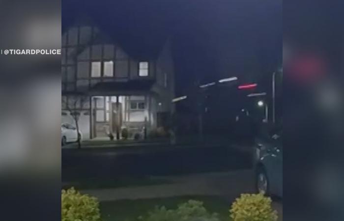 بعد اصطدامها بكومة ترابية.. شاهد شاحنة تحلق في الهواء وتقتحم منزلا