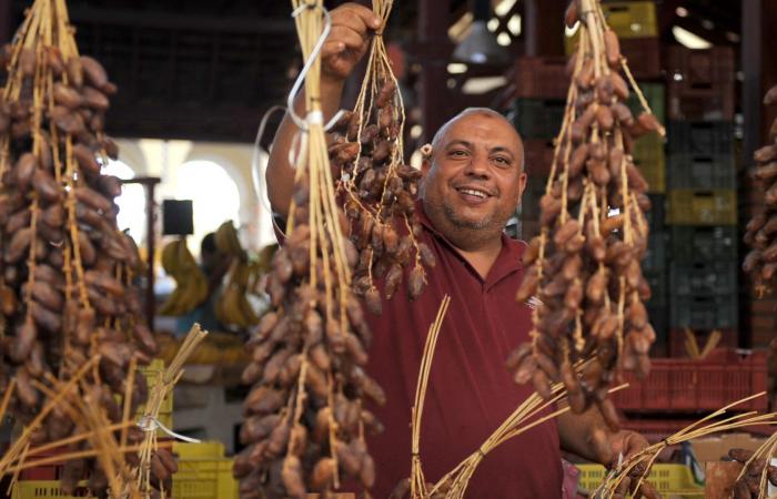 أكبر 10 دول عربية بإنتاج التمور مع ارتفاع استهلاكه بشهر رمضان