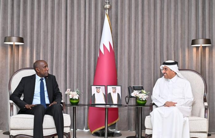 وزير العمل يجتمع مع السفير الكيني