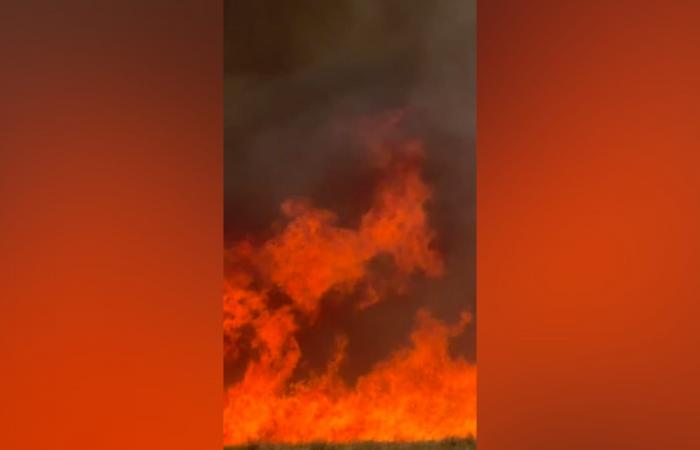 حريق هائل يمتد على مساحة 15 ألف فدان يعبر حدود أوكلاهوما إلى كانساس