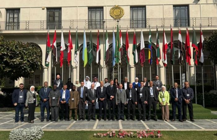 وزارة البيئة تشارك في دورة تدريبية بالجامعة العربية حول "الحلول القائمة على الطبيعة"